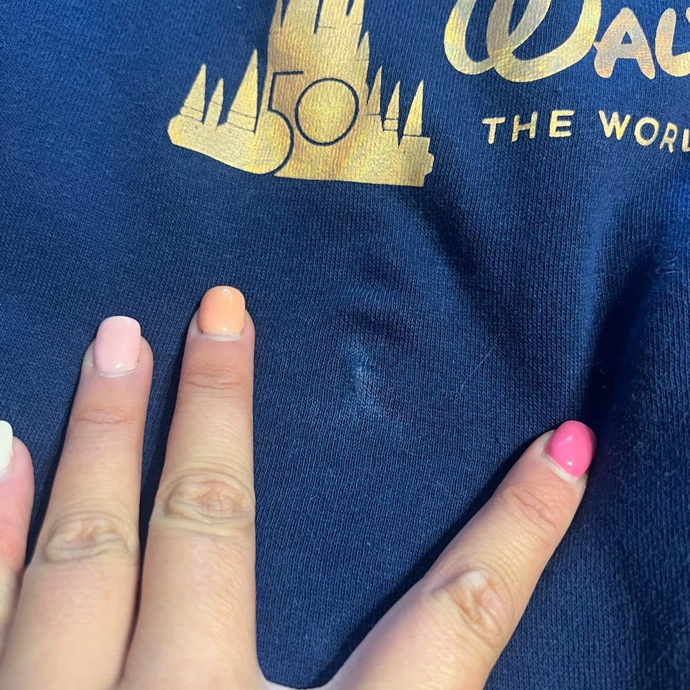 Disney World 50th Hoodie - Picture 4 of 8